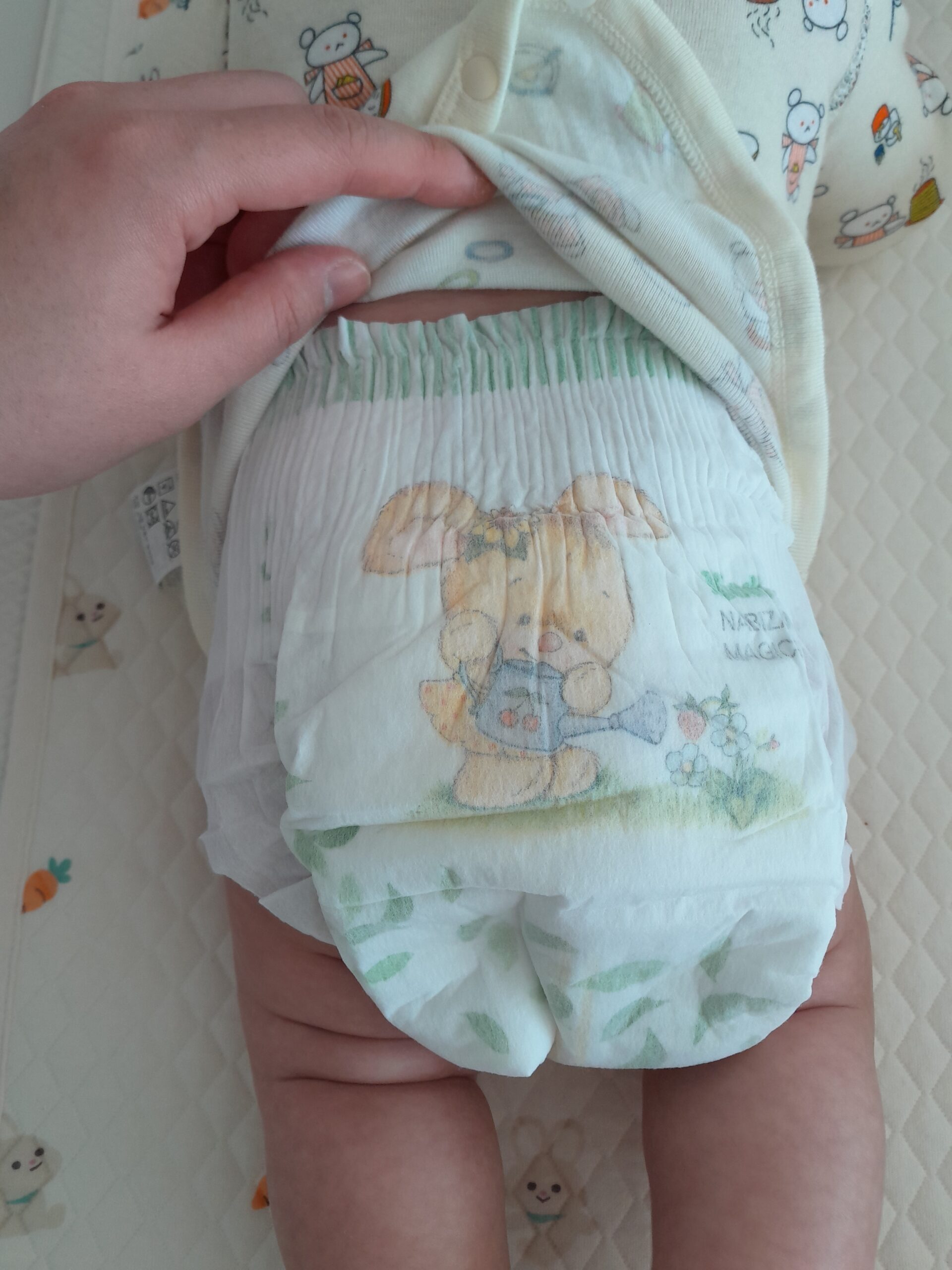 기저귀 브랜드 비교|하기스, 페넬로페, 모모레빗, 보솜이, 킨도, 나비잠, 팸퍼스 7종 후기 총정리